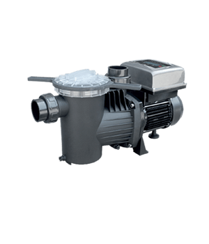 Saci Frekans İnventörü